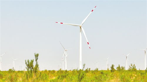 全國黨報(bào) 新媒體 甘肅武威調(diào)研行 天馬故里 大美涼州